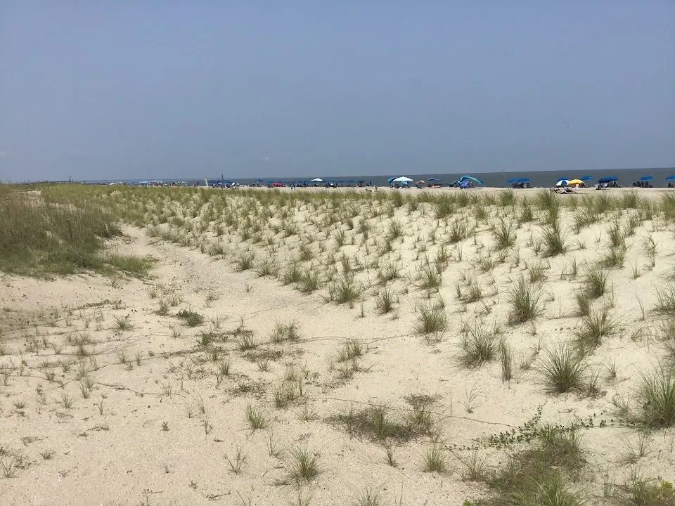 Summer Winds