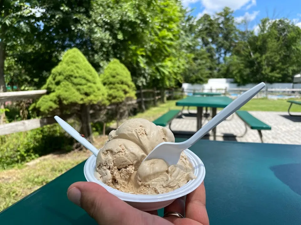 Blueberry Mountain Ice Cream