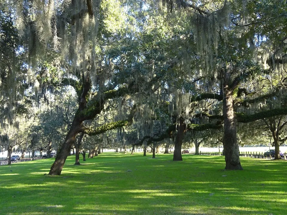 Daffin Park Public Swimming Pool