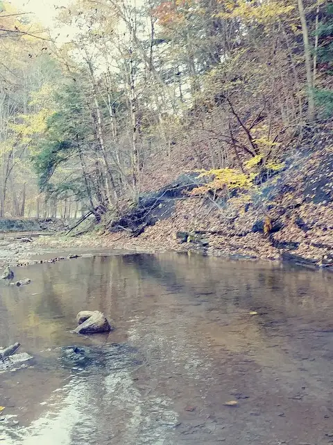 Steele Creek Fishing Access Site NYS DEC