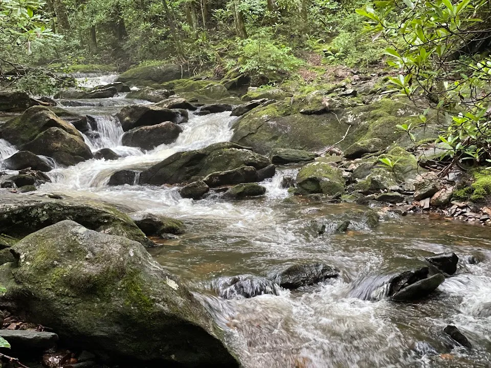 Big Laurel Falls