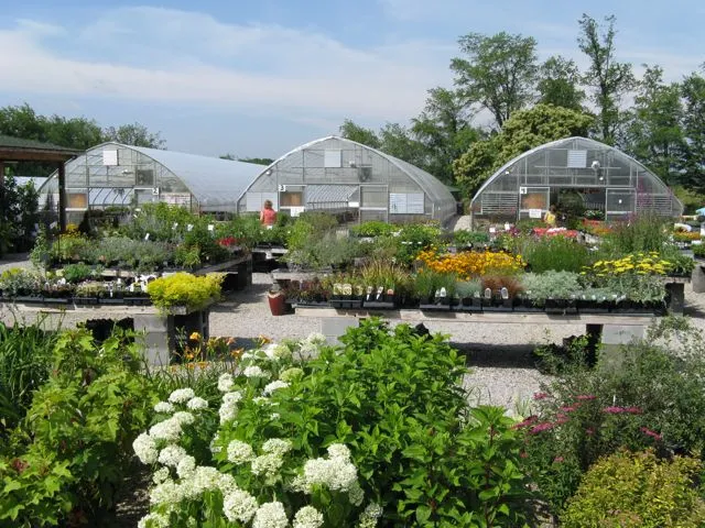 Crows Nest Greenhouses