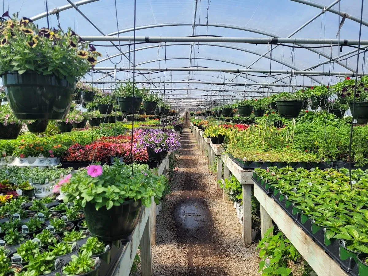Corbin Creek Greenhouse