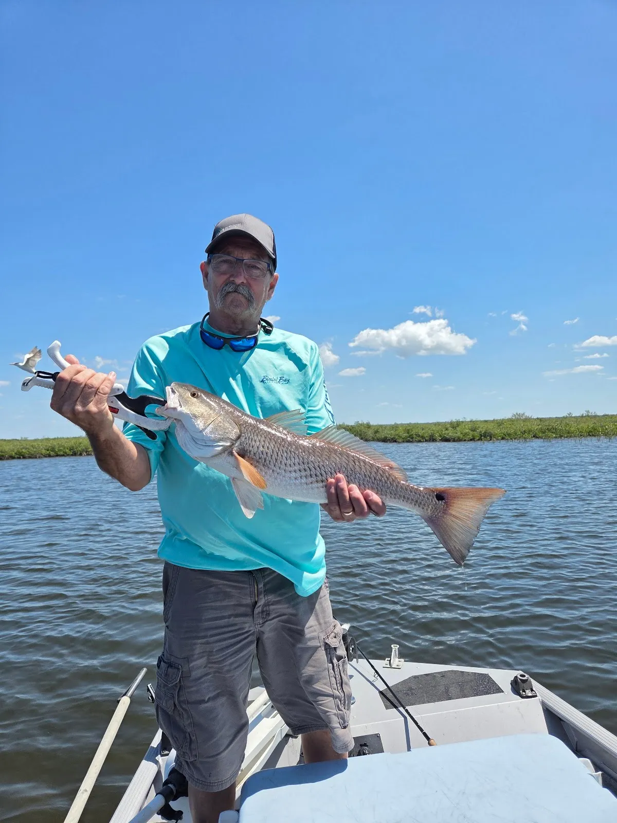 Weeki Wachee Fish Company