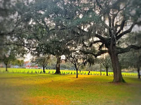 Daffin Park