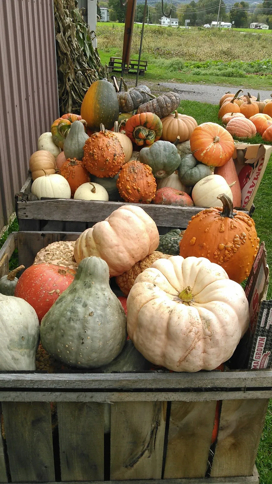 MAWS Farm