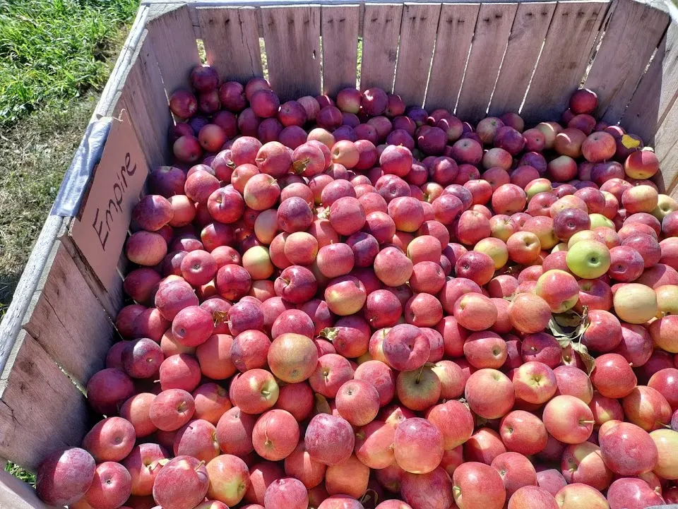 Apple Ridge Orchards