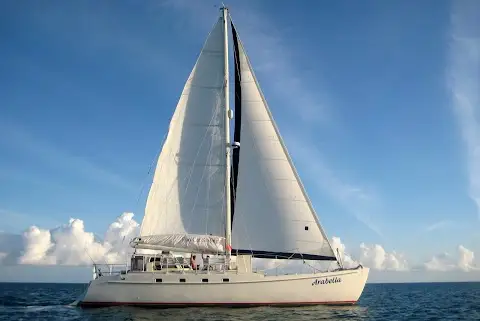 Fun Cat Sailing