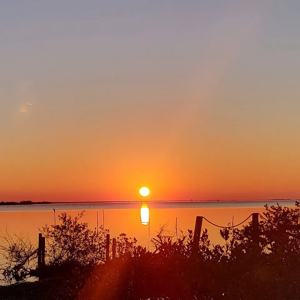 Mosquito Lagoon RV Park