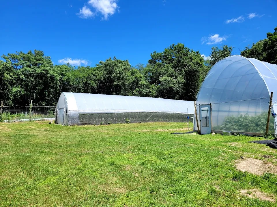 Halal Pastures Farm