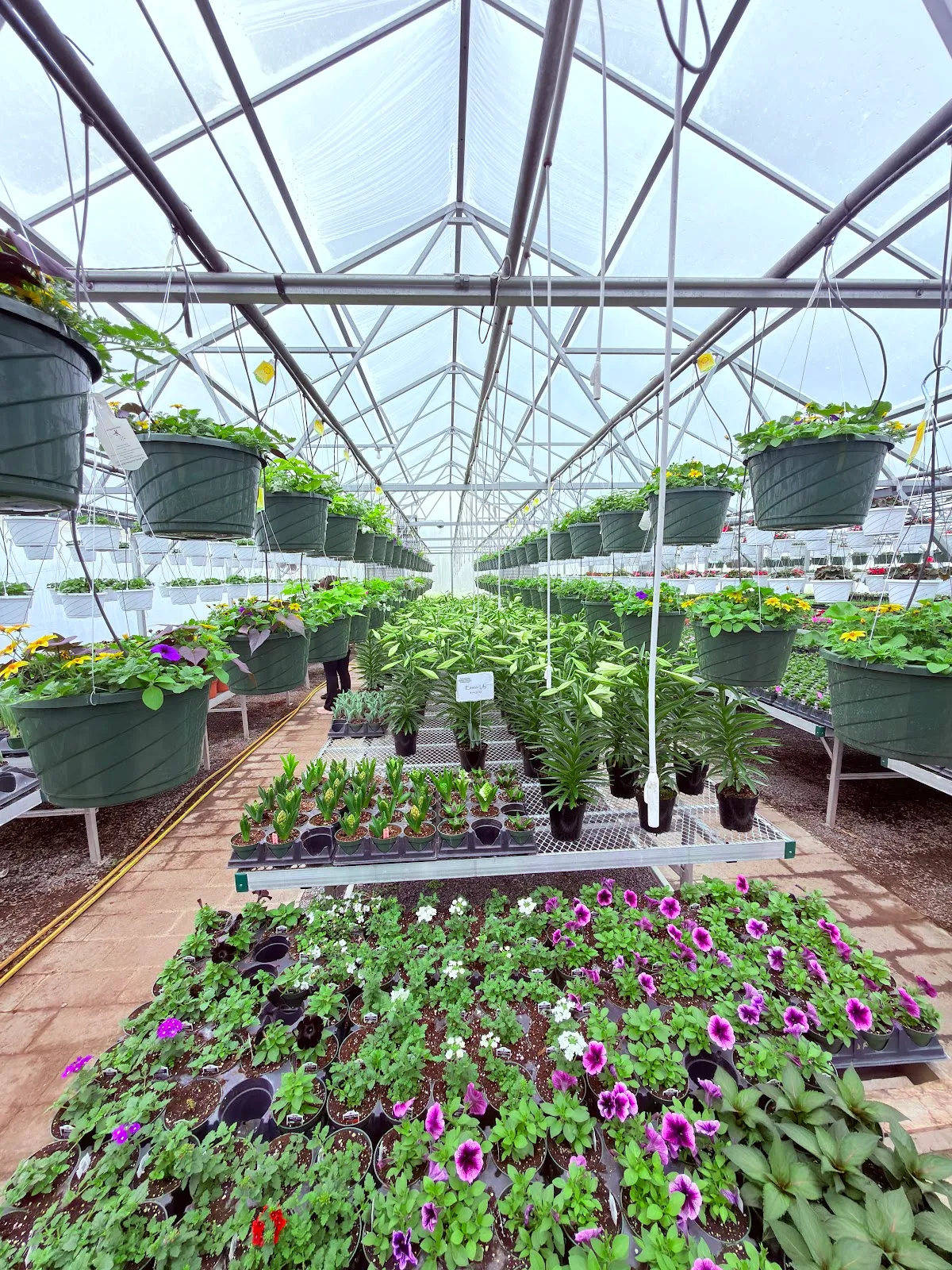 Schoharie Valley Farms/The Carrot Barn