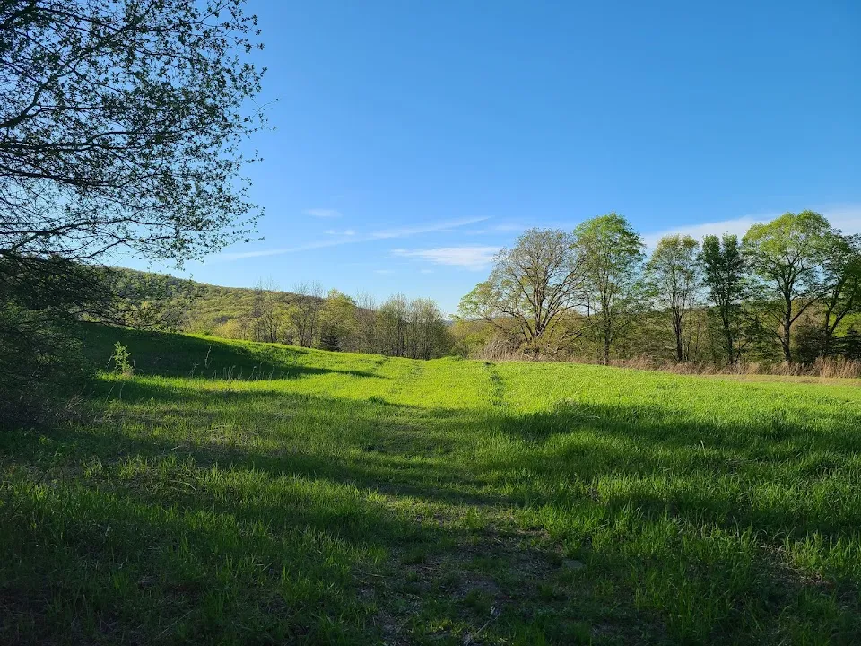 Goosepond Mountain State Park