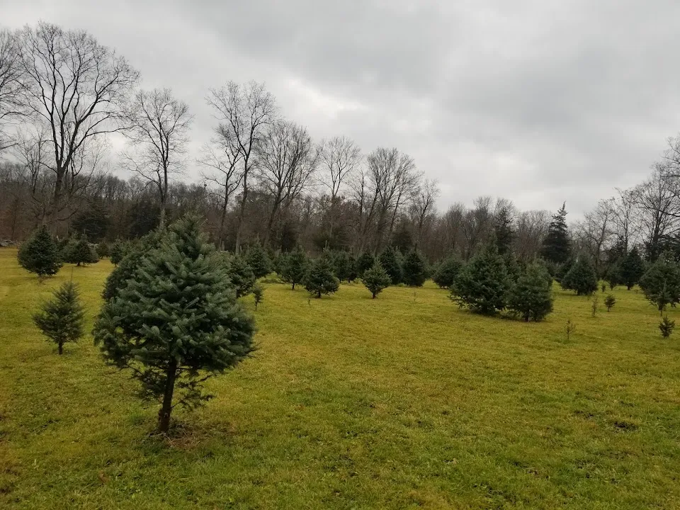 Pine View Farm