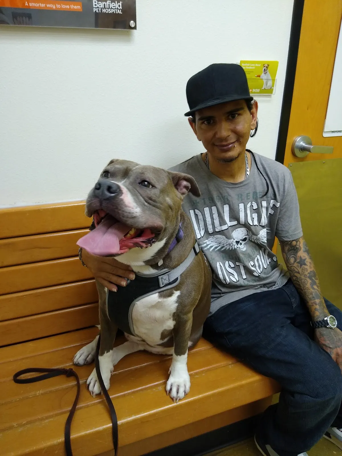 Banfield Pet Hospital