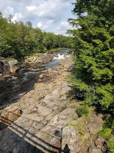 Black Creek State Forest