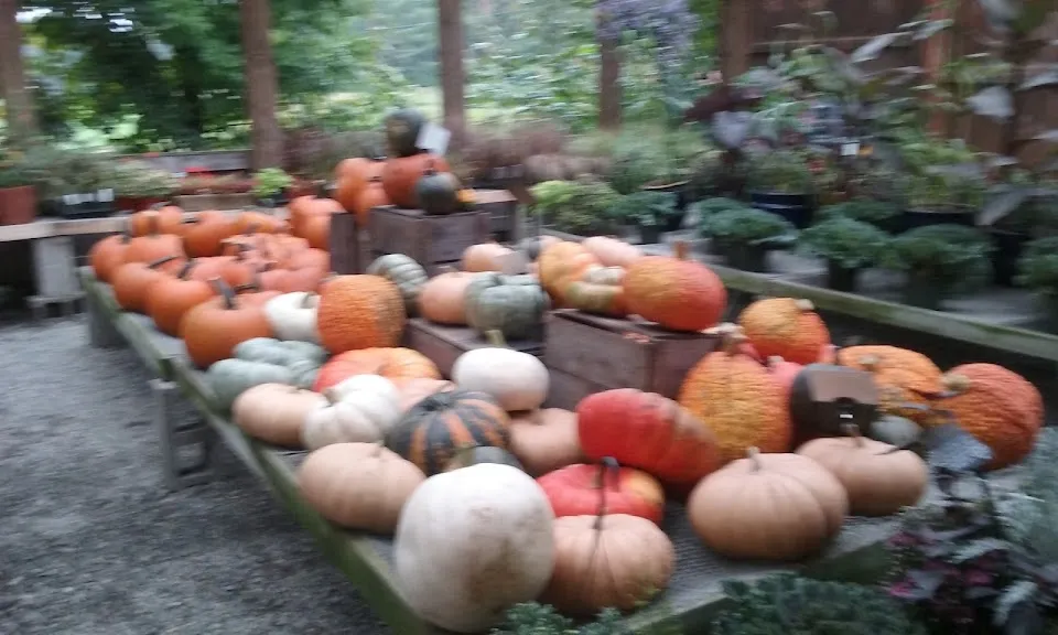 Edgewater Farmstand