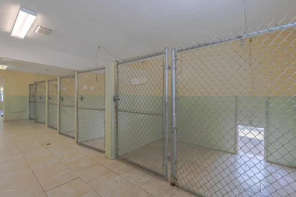 Bark N Purr Kennels