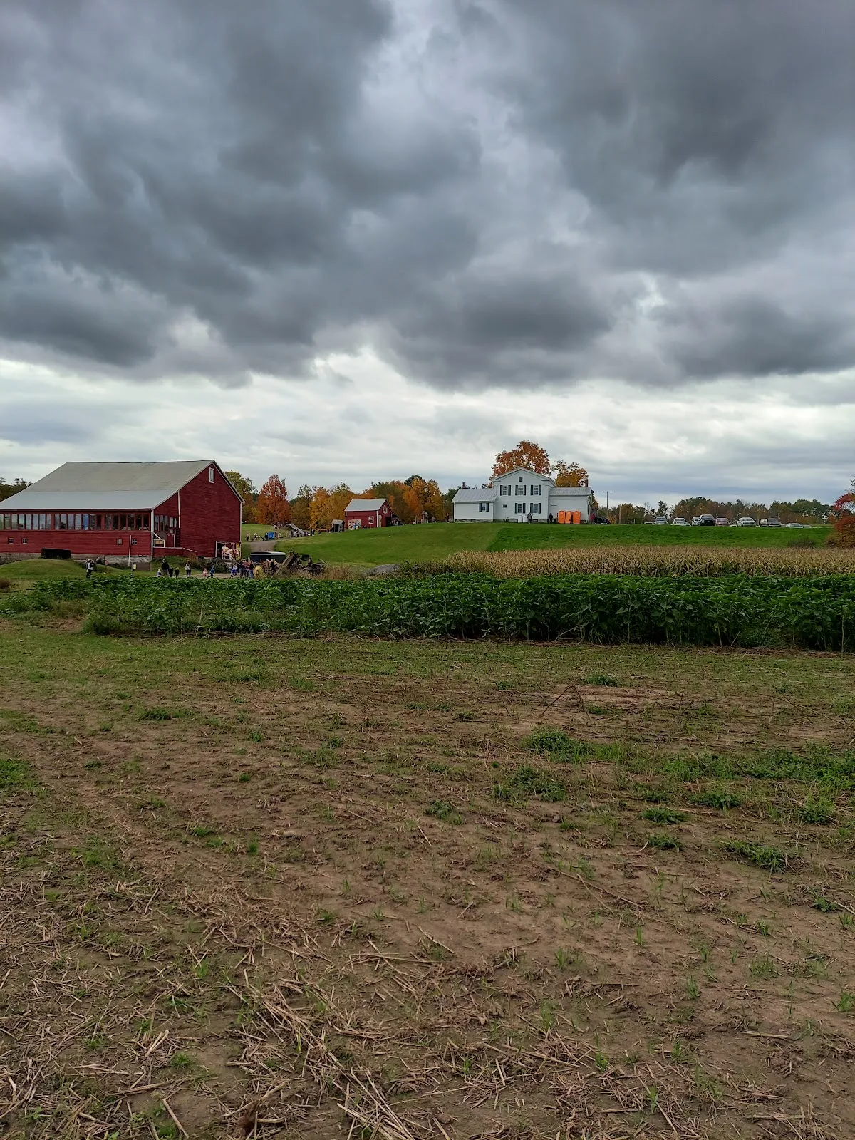 Pick a Pumpkin Pumpkin Patch