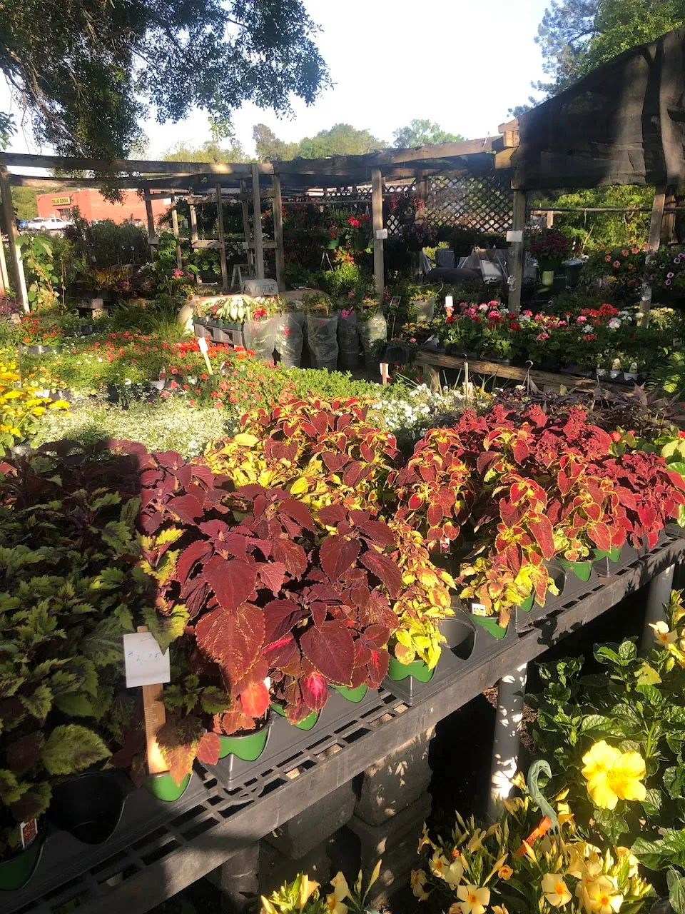 Tanner Nursery