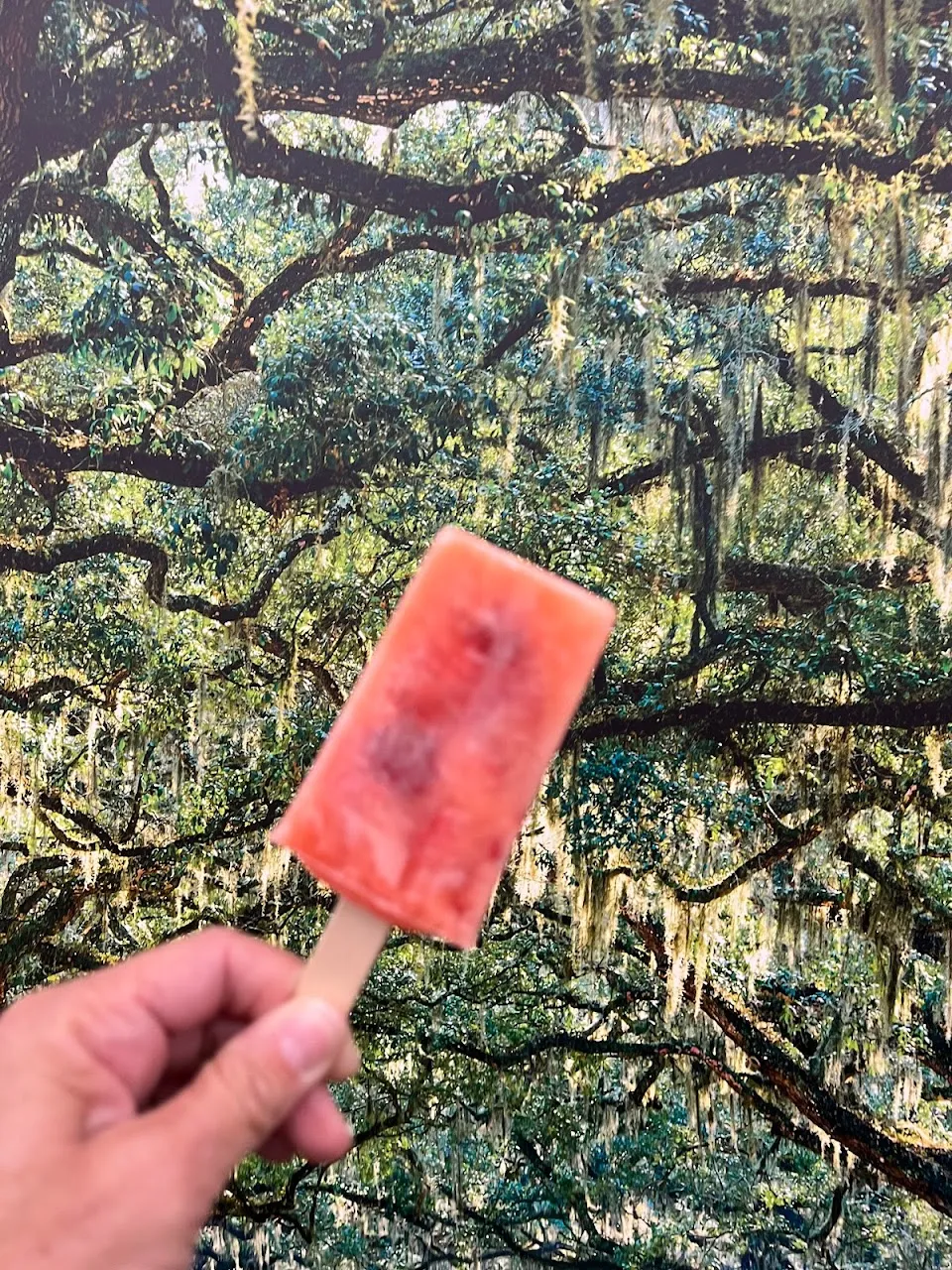 Savannah Square Pops