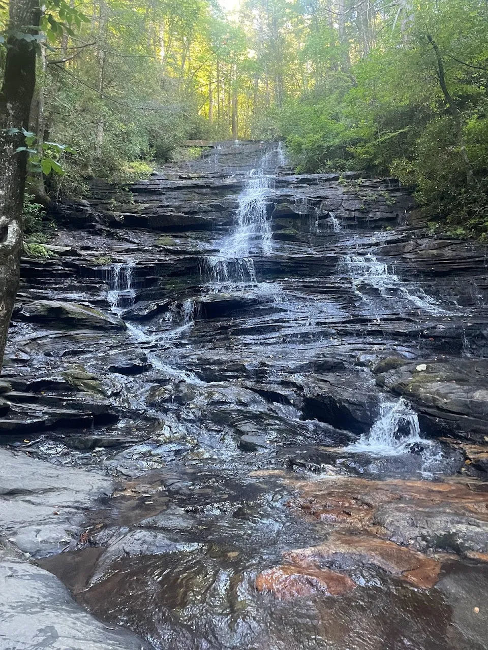 Bear Gap Outfitters
