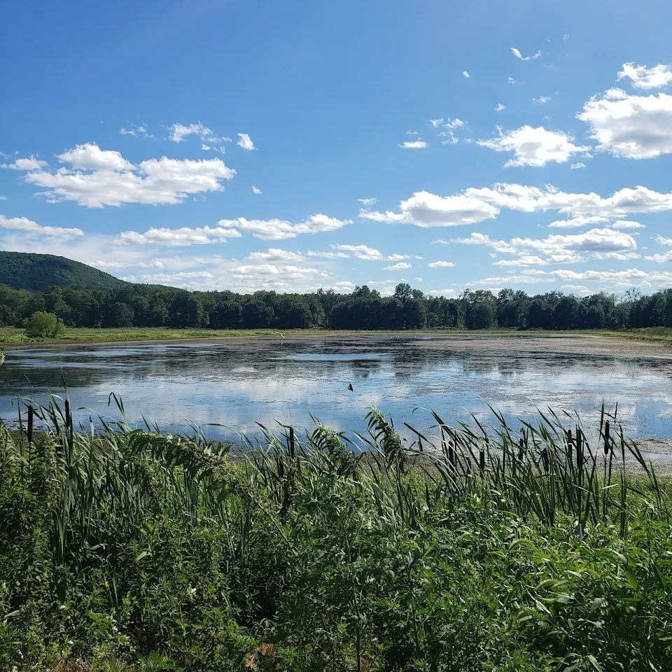 Liberty Loop Trail/Appalachian National Scenic Trail