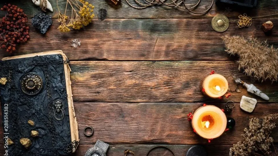 Wild Roots Apothecary & Seed Shop