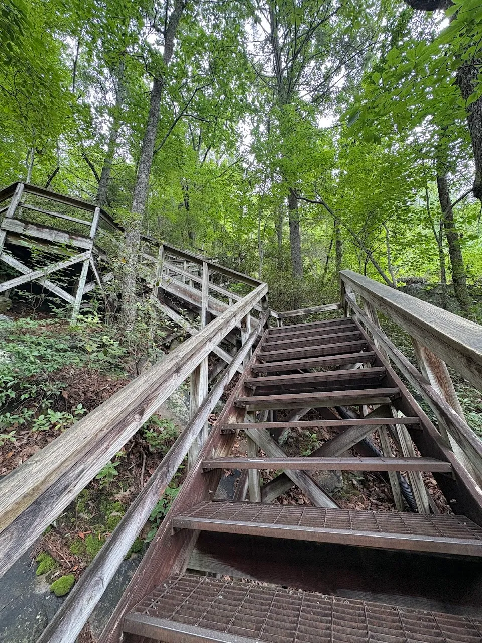 Tallulah Gorge - Suspension Bridge