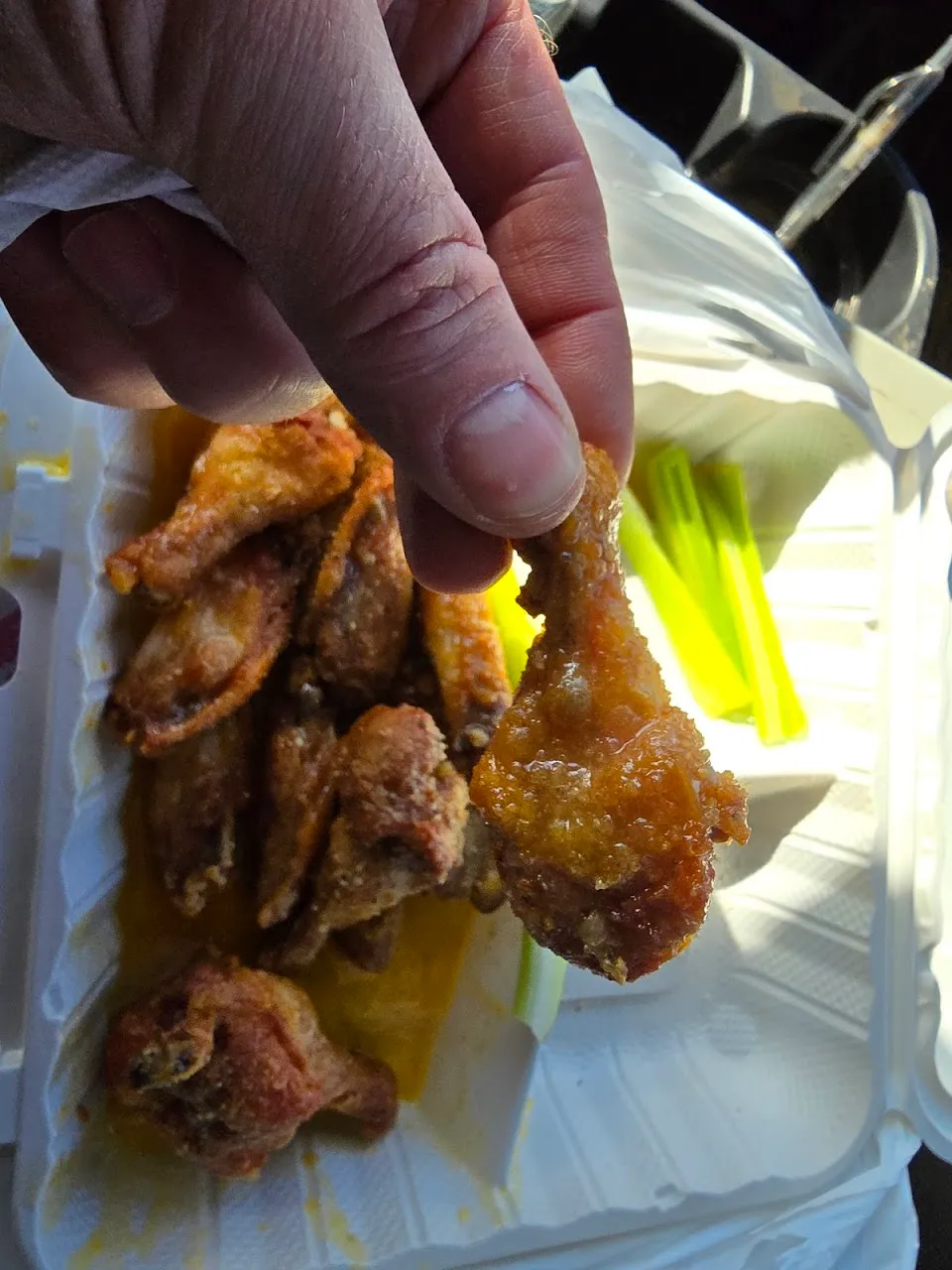 Planet Wings