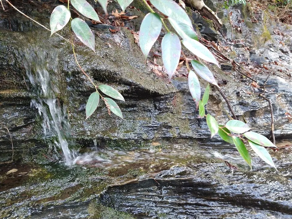Blue Hole Falls