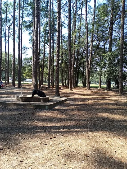 Daffin Park