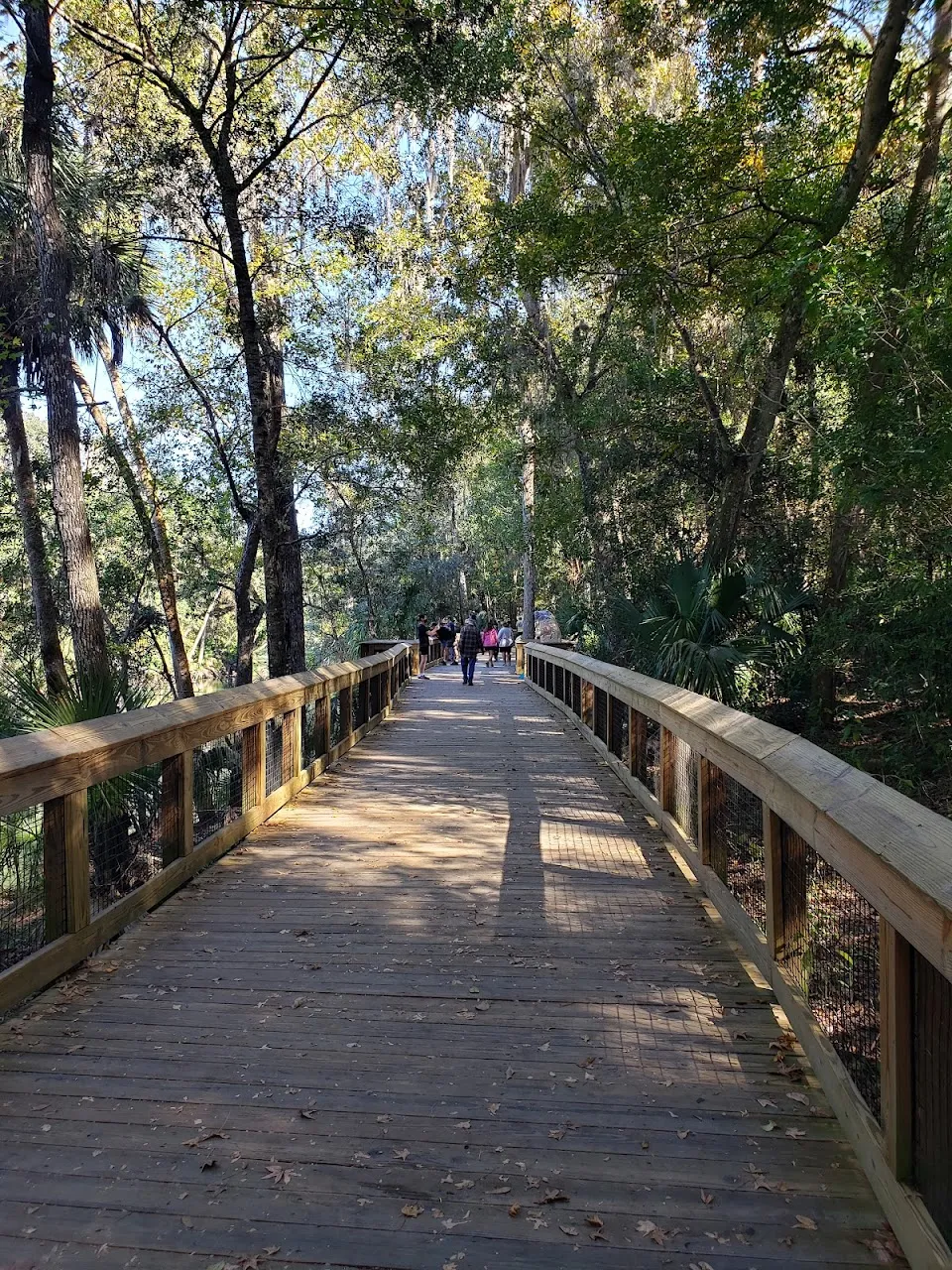 Blue Spring State Park