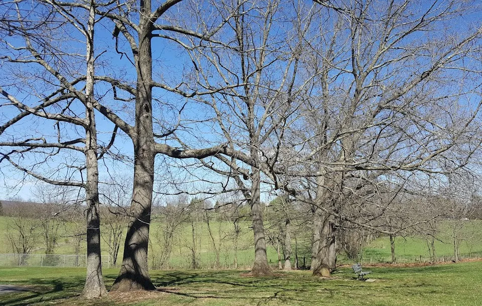 Primrose Park and Playground