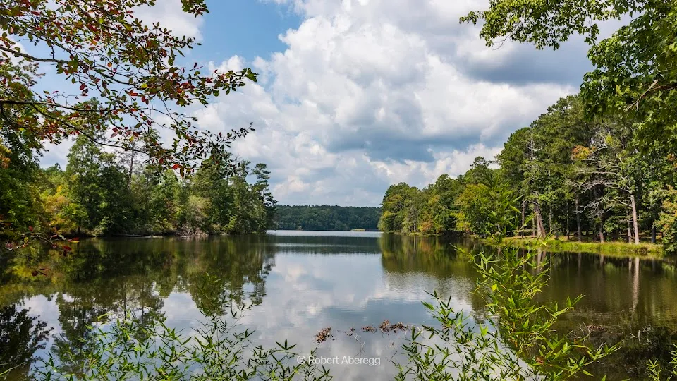Oconee National Forest