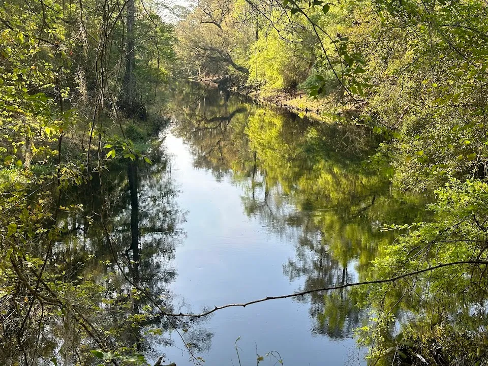 Croom River trail loop