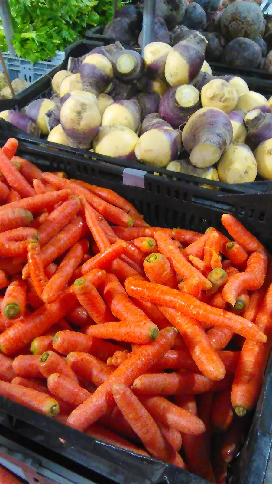 Bialas Farms