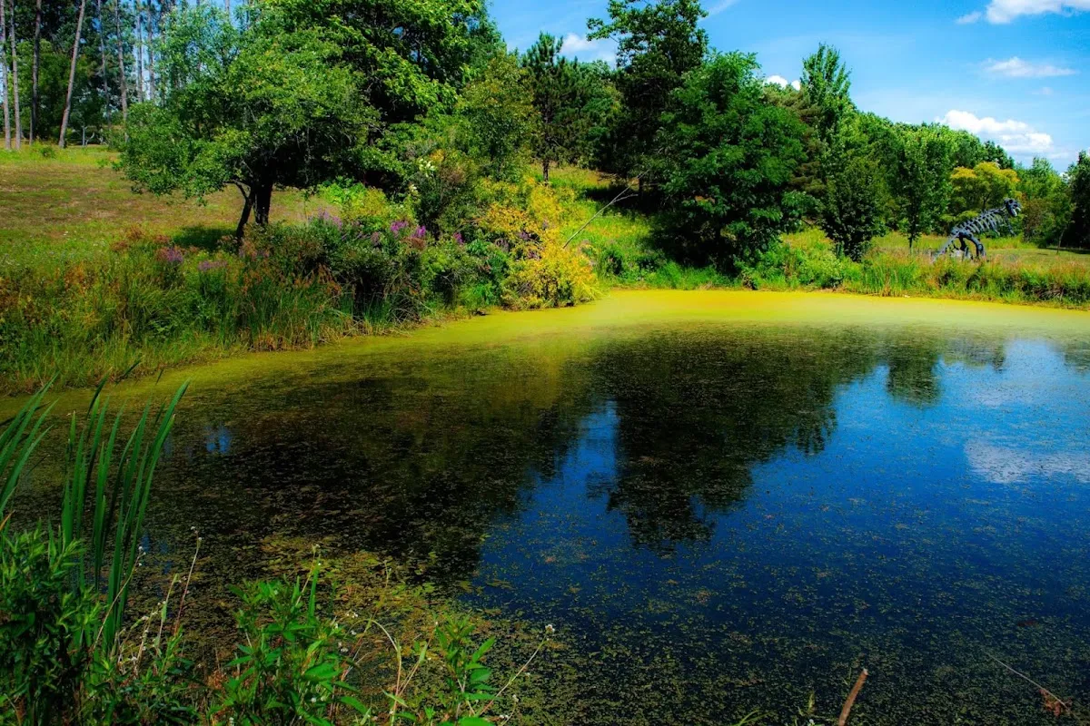 Landis Arboretum