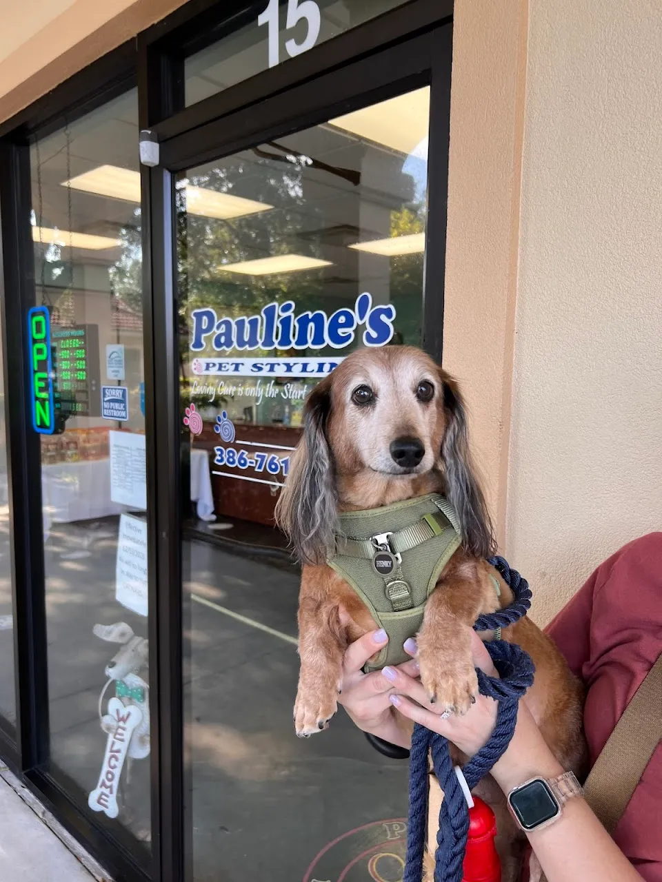 Pauline's Pet Styling