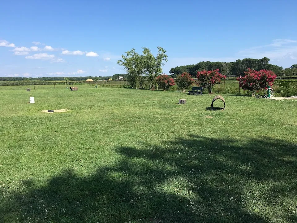 Play Ball Dog Park