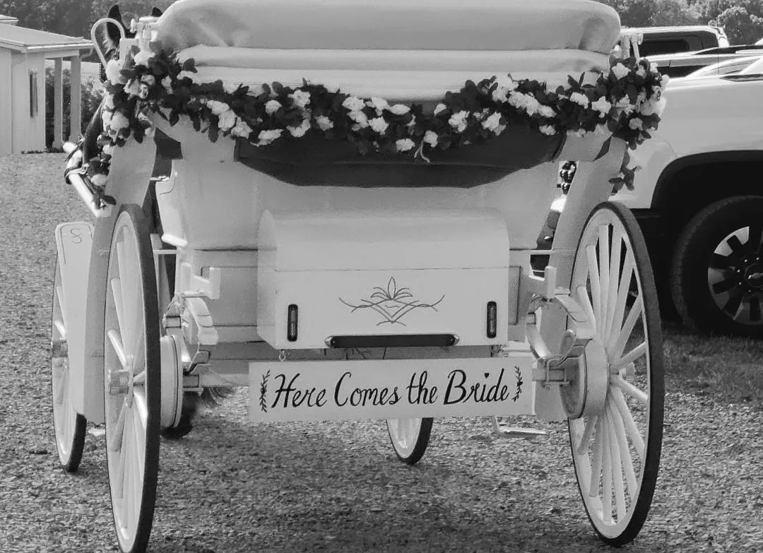 Dorvit's Camel City Carriage Rides