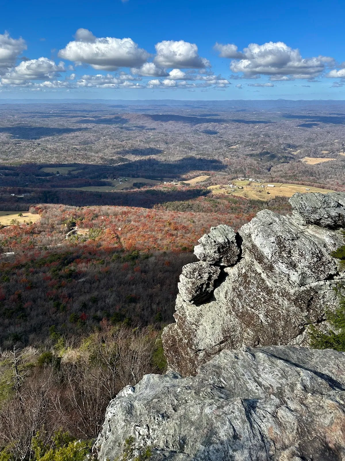 Observation Tower