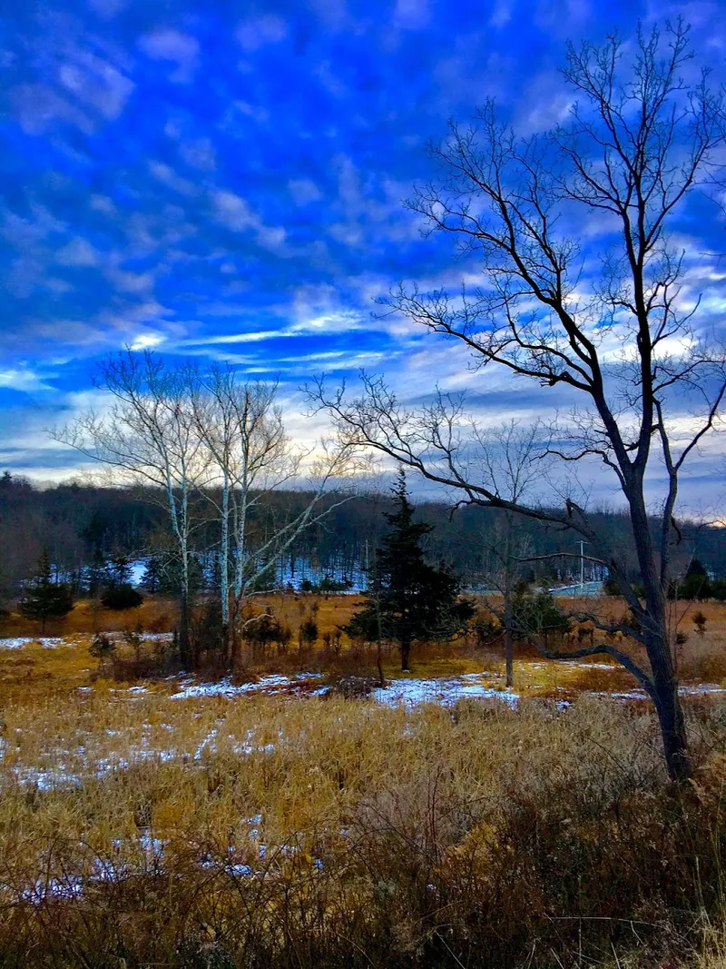Goose Pond Mountain