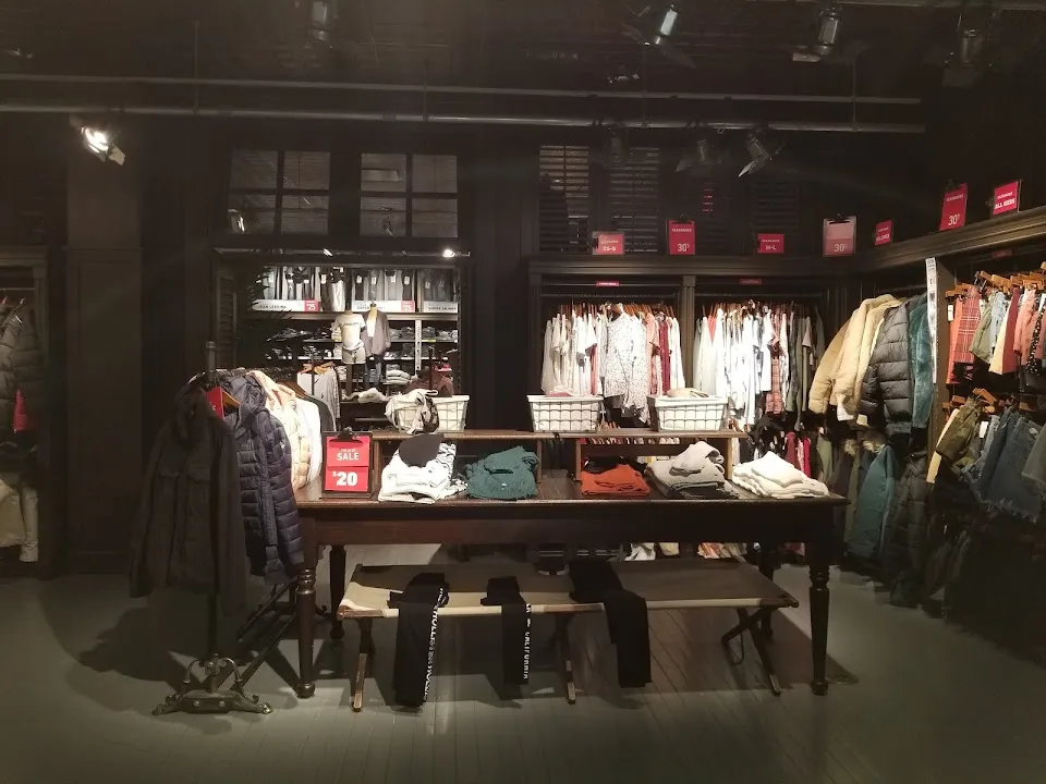 Hollister Co.
