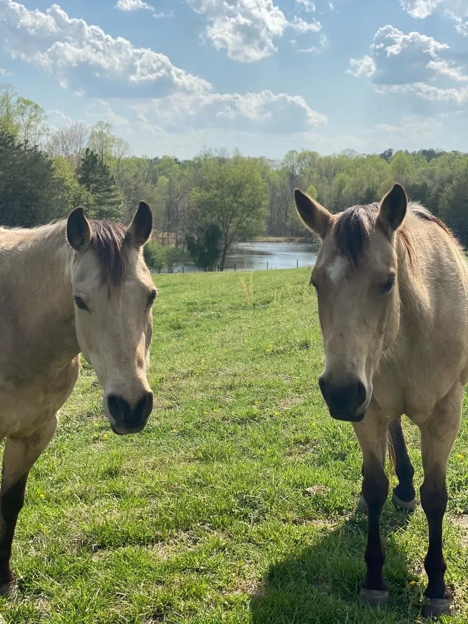 Serenity Ridge Farms, LLC
