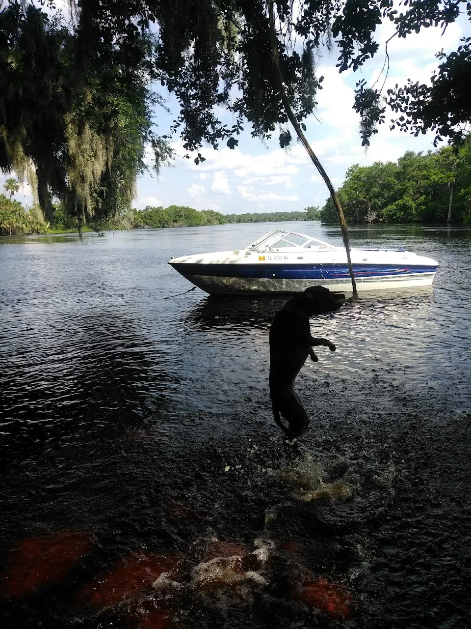 Lemon Bluff boat ramp
