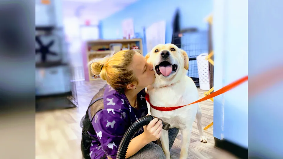 Romi's Royal puppy spa