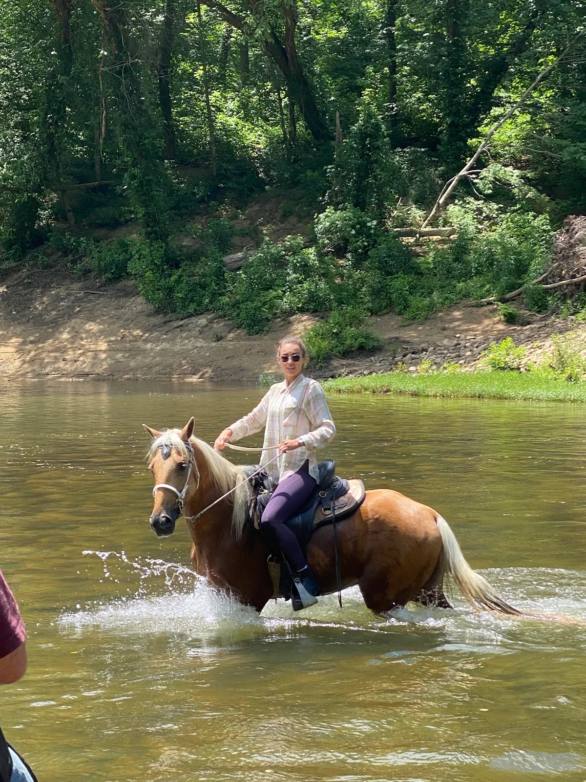 Red Fox Stables & Resort