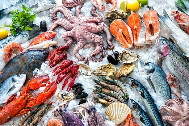 Goin Coastal Seafood