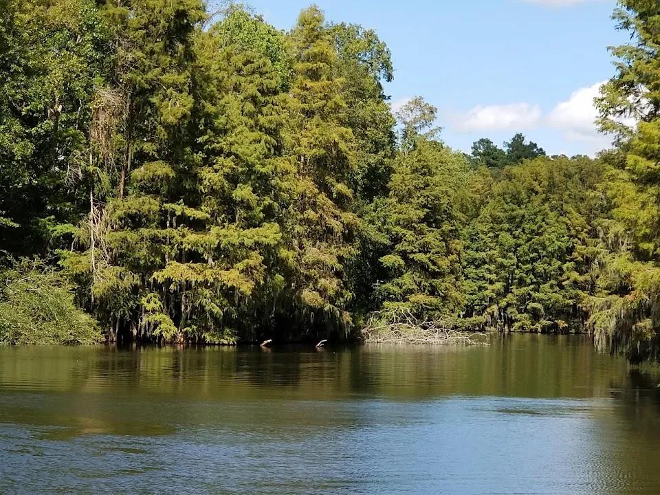 Lake Marion Resort and Marina