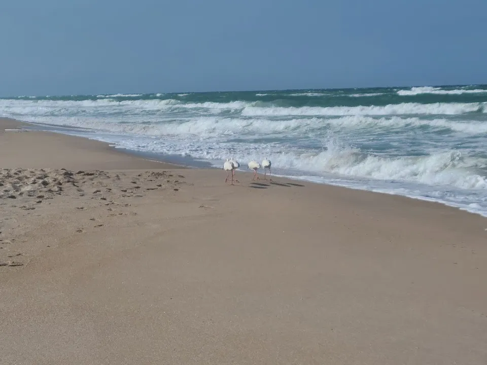 Playalinda Beach